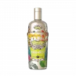 Coppa Cocktails Margarita 70cl