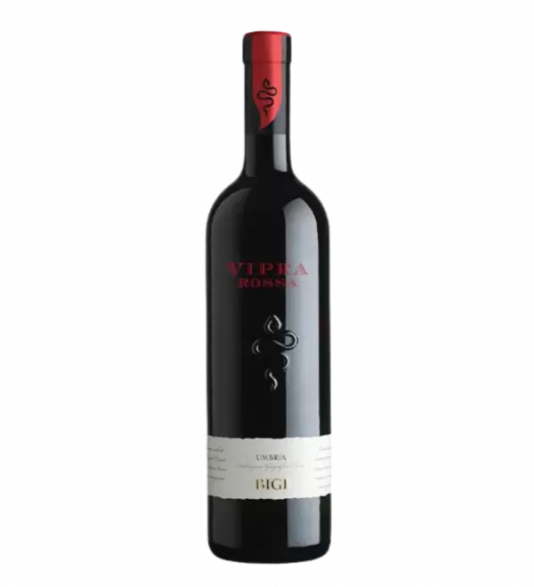 VIPRA ROSSA UMBRIA